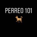 Perreo 101