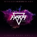 LIQUID BASE VOL.1 (FORTHCOMING FX909 MUSIC) : MIXED BY JASON IN:KEY