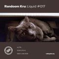 Randoom Kru: Liquid #017 w/ PHL