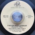 I NEVER SHALL FORGET - Medium Rare Gospel Soul Warmers on 45 & LP pt 1