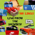 Mr Lingo - Live From The Shoebox Part 1 (All 45's)