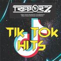 Trebor Z - TikTok Trends [2020]