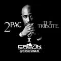 2Pac The Tribute 