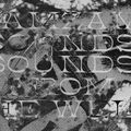 Sounds from the Well (23.03.18) w/ Zam Zam Sounds & Ojah