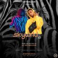 DJ Skywalker - Skywrld 3