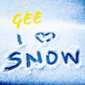 GEE - I LOVE SNOW
