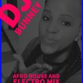 Afro house and electro mix by dj bunney