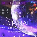 Tribal Deep House & Acid House DJ Set No. 1