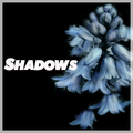 Shadows - House Mix June 2019