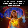 Harmony Noise Positine HN+...IN THE KEY OF PSY VOL. 5...by Paracelso Project