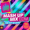 The Cut Up Boys - Ministry of Sound - Mash Up Mix EDM - Minimix