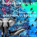 20-04-23***Danses Cantiques#51***Animale Medicine - Dolphin - Breath***NTSC #39