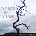 A Duck in a Tree 2013-03-23 | Soluble in Granite