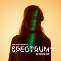 Joris Voorn Presents: Spectrum Radio 117