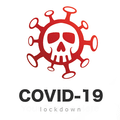 COVID-19 (I) lockdown