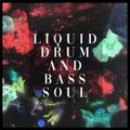 Liquid Drum And Bass Soul 23