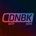 WHAT THE FUNK / DNBKonferencija #002 / Mix #014 / 2014
