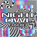 Night Owl Radio 255 ft. Will Clarke and Noizu