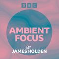 James Holden – Ambient Focus 2023-08-12