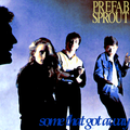 Prefab Sprout - Some That Got Away (a collection of rarities)