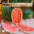 MISTICAL SOUND pres. STEPPER TRIP E01 - 29th Jun, 2020