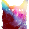 Static Flux 037