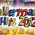 Ballermann Hits 2012 - RTL2 live cut by mokilog