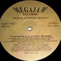 Vinyl Mastermix: Flashback Old School Megamix Part 2