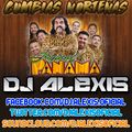 Cumbias Norteñas ( TROPICAL PANAMA MIX ) - DJ Alexis