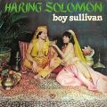 Boy Sullivan   Haring Solomon