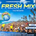 Fresh Mix (Megamix) Mixed by Richard TM