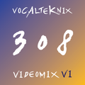 Trace Video Mix #308 by VocalTeknix