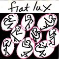 John Peel : Mon 8th Nov 1982 (Play Dead - Fiat Lux - Comsat Angels - Popular History Of Signs : 38m)
