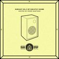 Dubcast Vol.11 (Dub-Stuy Sound ft. Rider Shafique)