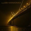 MixCult Podcast # 135 Andrey Pushkarev - Harmonika