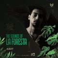 THE SOUNDS OF LA FORESTA EP29 - ABDY