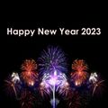 The Remixes 22 (Happy New Year 2023 Mix)