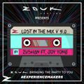 Lost in The Mix V 5.0