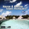 Yankee's House & Electro MashUp #3 (2012)
