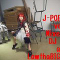 J-POP MIX vol.41/DJ 狼帝 a.k.a LowthaBIGK!NG