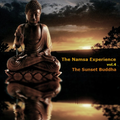 The Namsa Experience (Aura Healing Sessions To Enlightenment) - vol.4 (The Sunset Buddha)