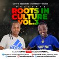 Roots In Culture Vol 3 - Selector Jnr B Meets Selector Raskull