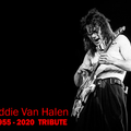 Eddie Van Halen 1955 - 2020 Tribute
