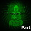 Deep House Oriental (Live set Dj) Birreria Ludwigs Krone Original Kapuziner Spresiano Treviso 2 Part