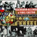 Salvador Allende y Fidel Castro: El Diálogo de América + Amerindios. CDZA 2092. Sello Liberación.
