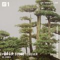 Perfect Sound Forever w/ Zomes - 25th September 2018