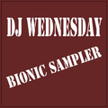 Bionic Sampler by DJ Wednesday