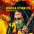 REGGAE STORM VOL 11 (roots and rub a dub edition )