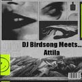 DJ Birdsong Meets Attila