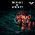 Doc Idaho - The Voices Of Africa XIV